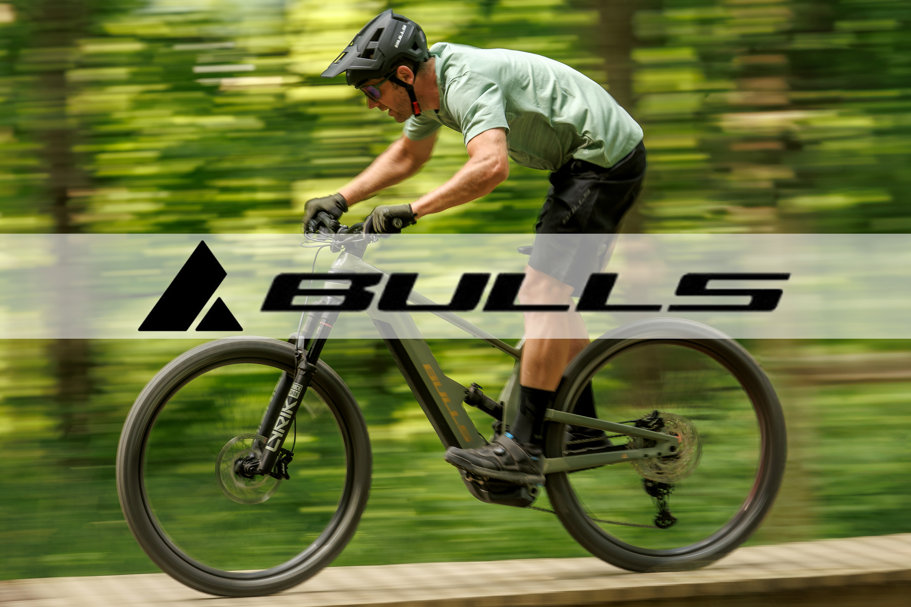 Bulls Biernath